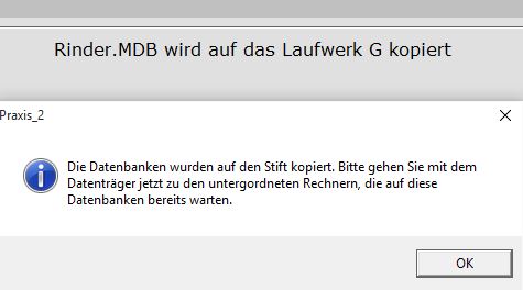 Bild von der Meldung dass die Datenbank kopiert wird.